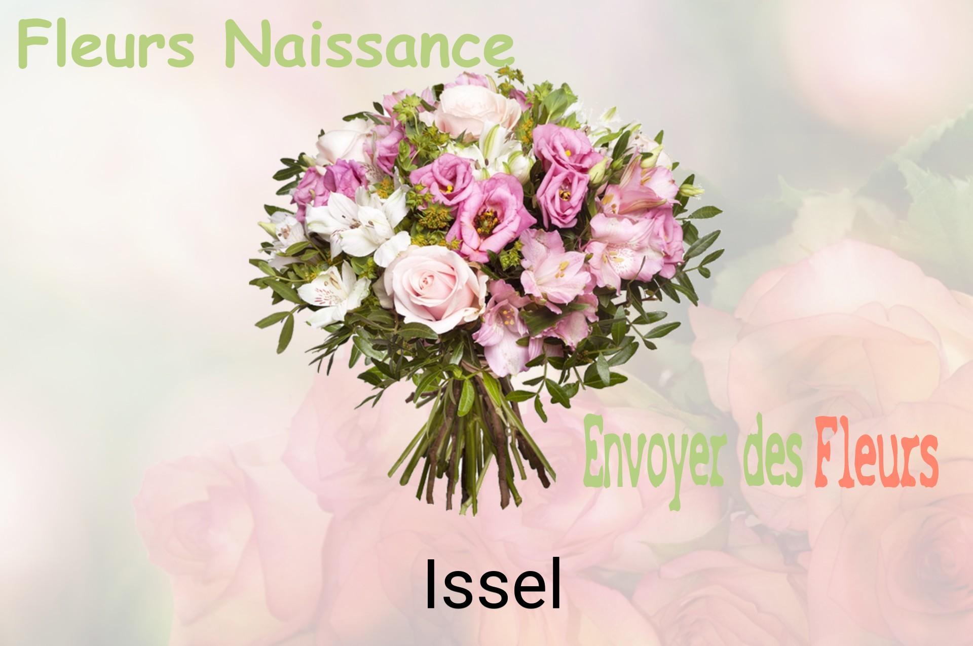 Bouquet de fleurs de naissance livré à Issel